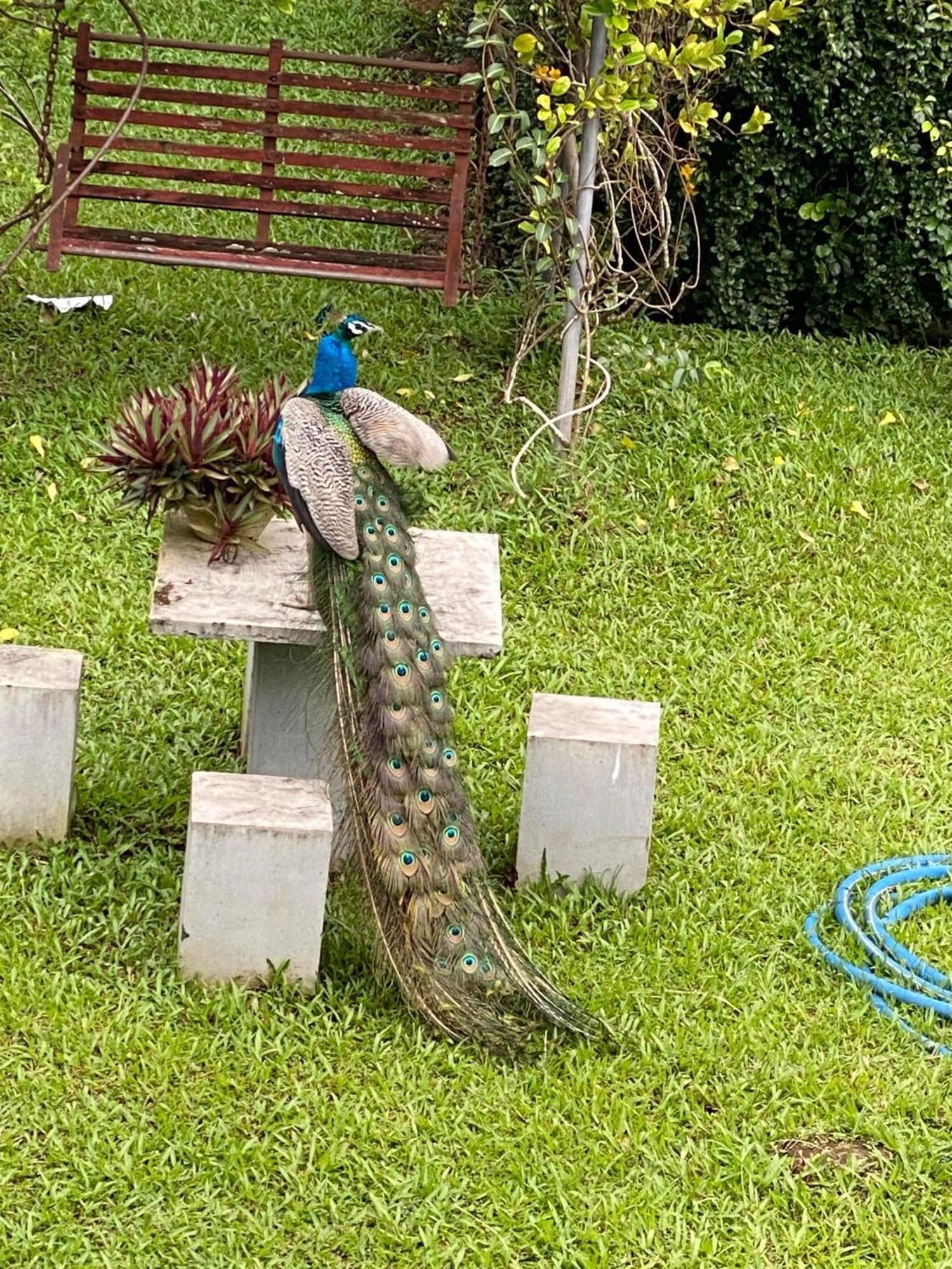 Waasala Leisure Hotel Anuradhapura Bagian luar foto