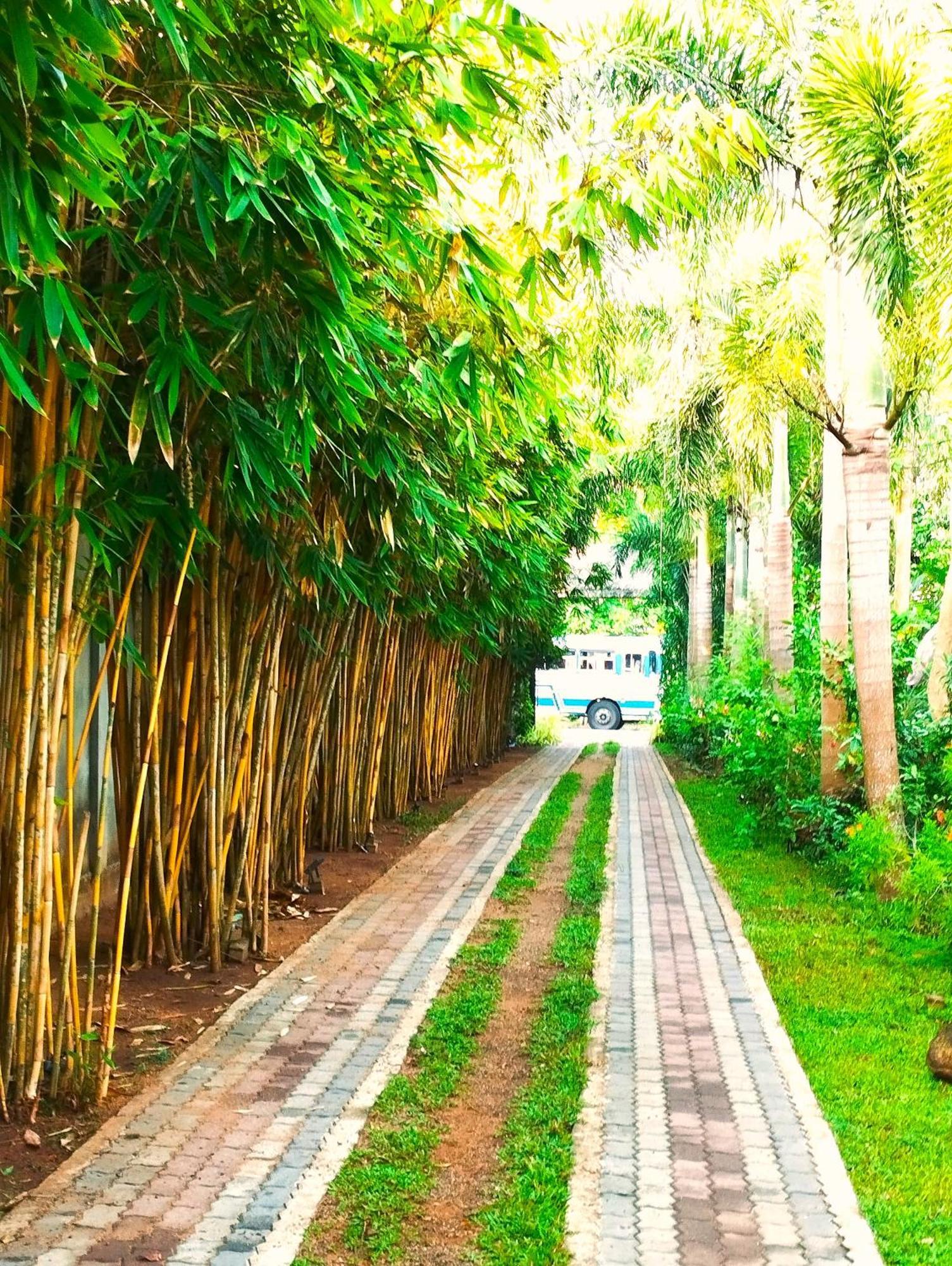 Waasala Leisure Hotel Anuradhapura Bagian luar foto